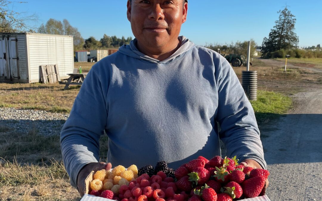 Garcia Family Farm