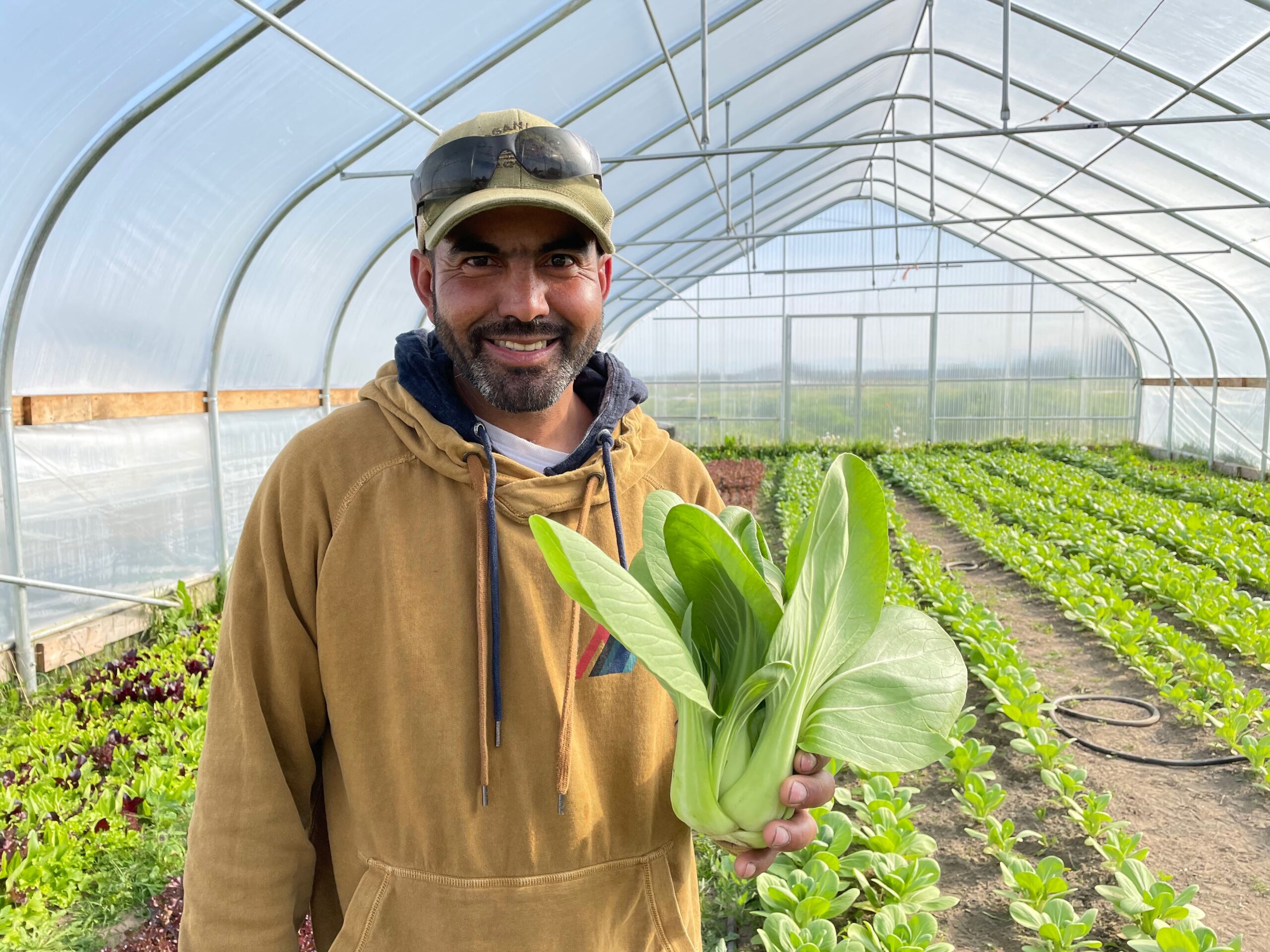 Farias with bok choy 