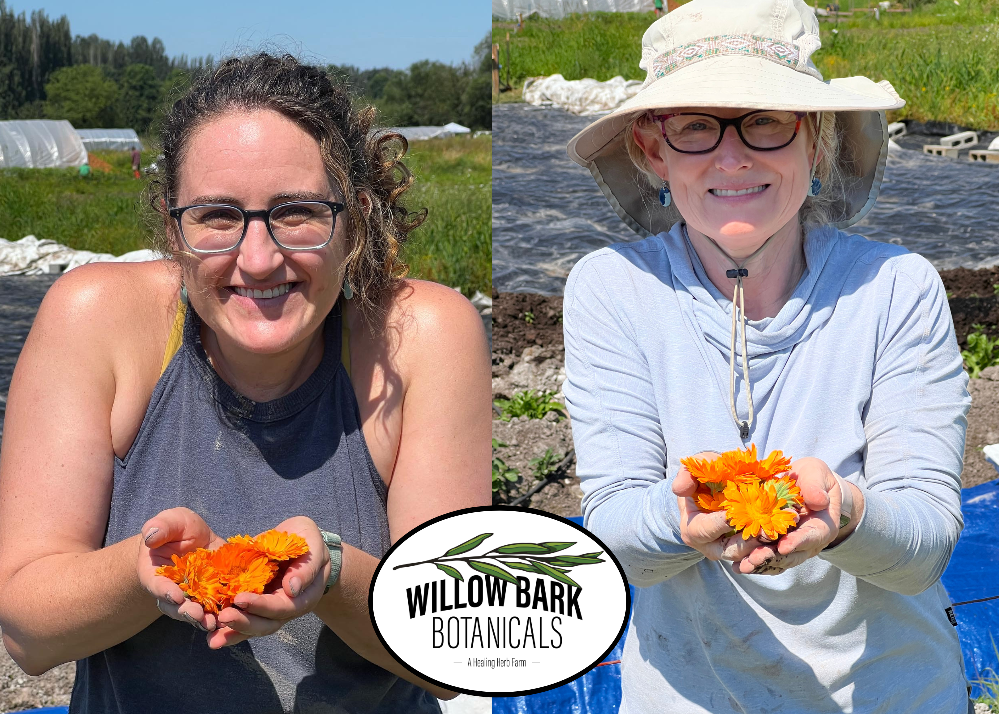 Photo of farm owners Kaitlin and Wendy holding calendula flowers with the Willow Bark Botanicals logo