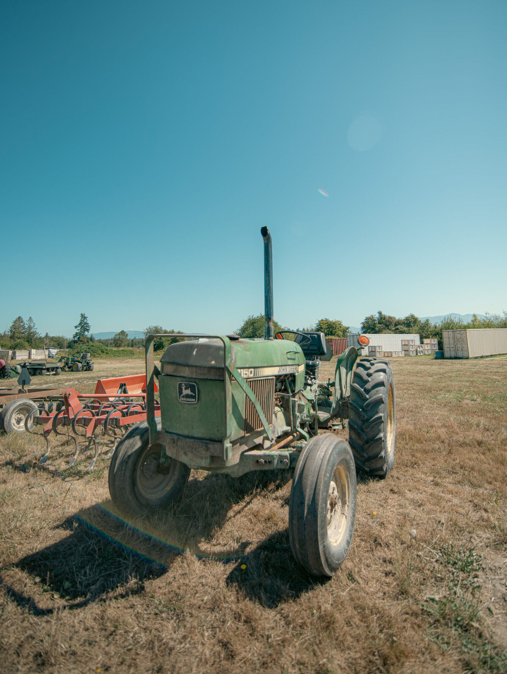 Adela with garlic braid
