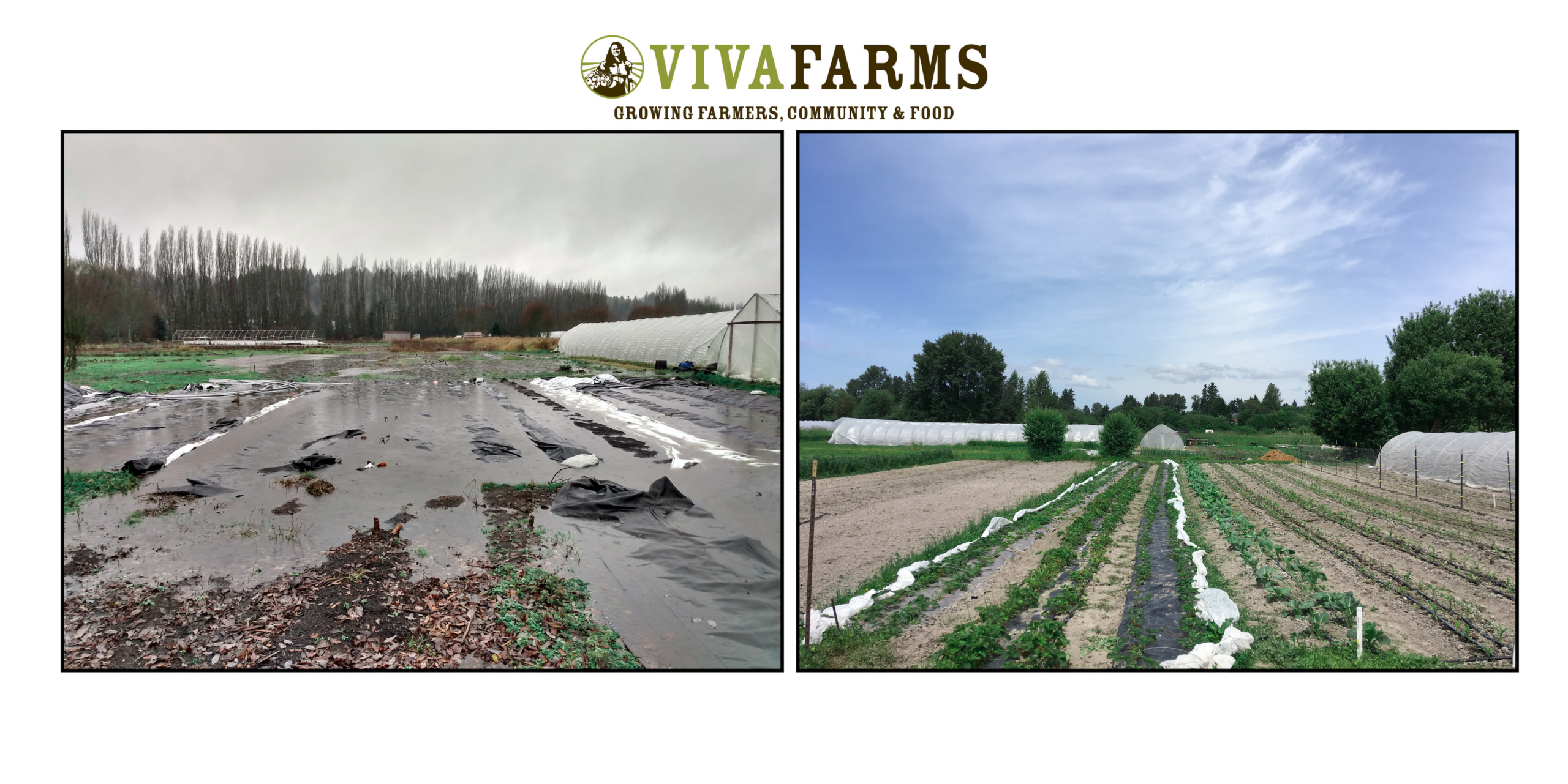 two farm images, one flooded, one dry 
