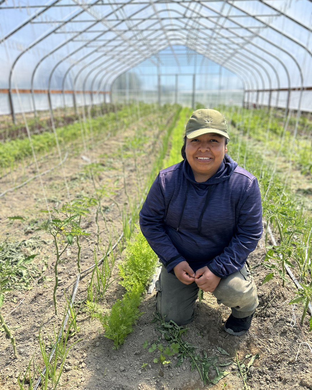 Mejia Romero Farm_Viva Farms_2026